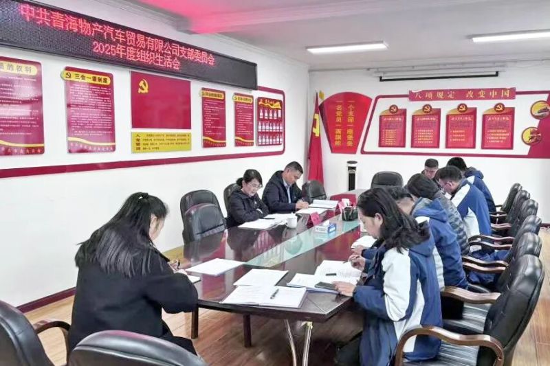 汽貿(mào)公司黨支部召開2025年度組織生活會