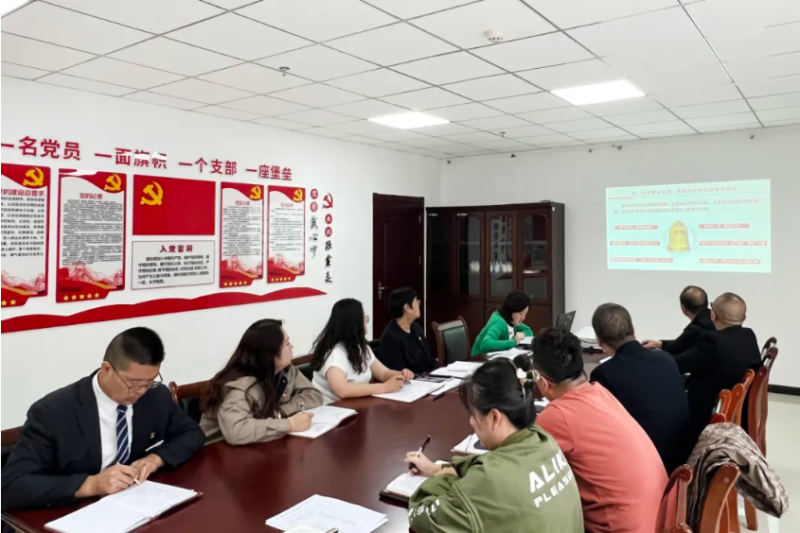 臨空公司黨支部開展&ldquo;黨課明志強根基 誓言錚錚擔使命&rdquo;迎七一主題黨日活動