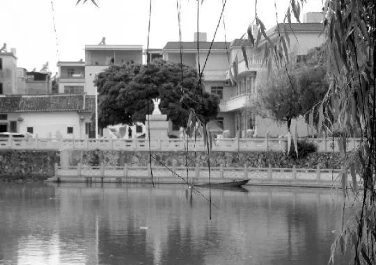 老鄉(xiāng)眼里的李河君：陌生富豪，夫人助其發(fā)財